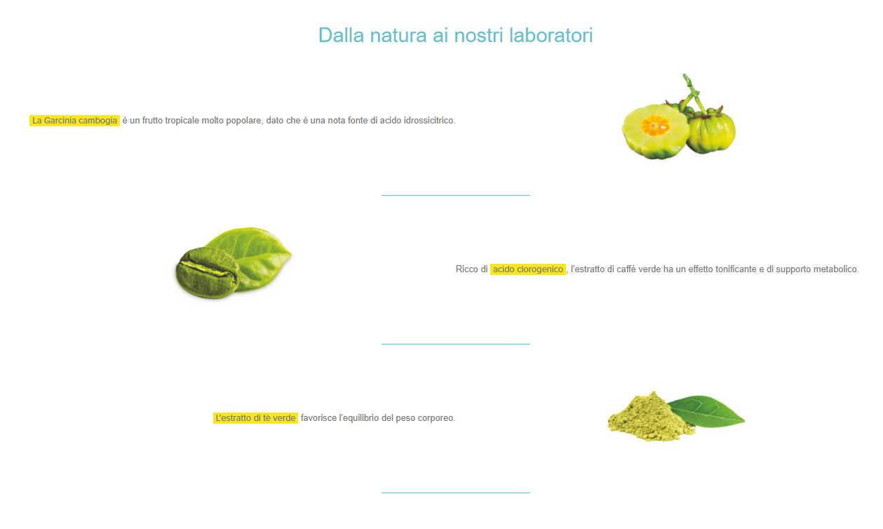 BRUN Green Tea & Green Coffee - immagine 4